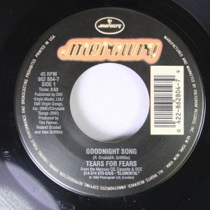 TEARS FOR FEARS - GOODNIGHT SONG / NEW STAR
