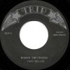 TONY AND JACK SCOTT - SPLIT SINGLE