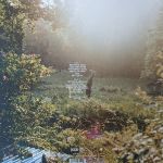 4AD-0312-LP