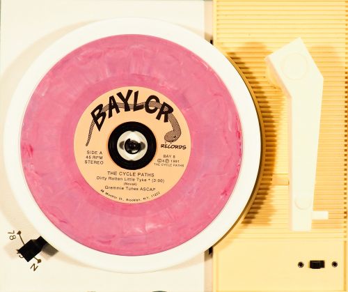 BAY 8