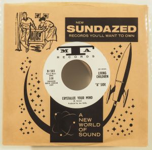 DJ-503CV