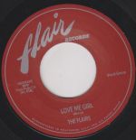 FLAIR-1028