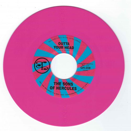 GH-208CVP