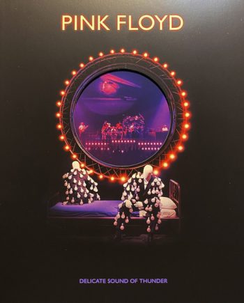 Get Hip - Buy PINK FLOYD - DELICATE SOUND OF THUNDER - LIVE - 180-GRAM / 3XLP - PINK FLOYD RECORDS PFRLP36